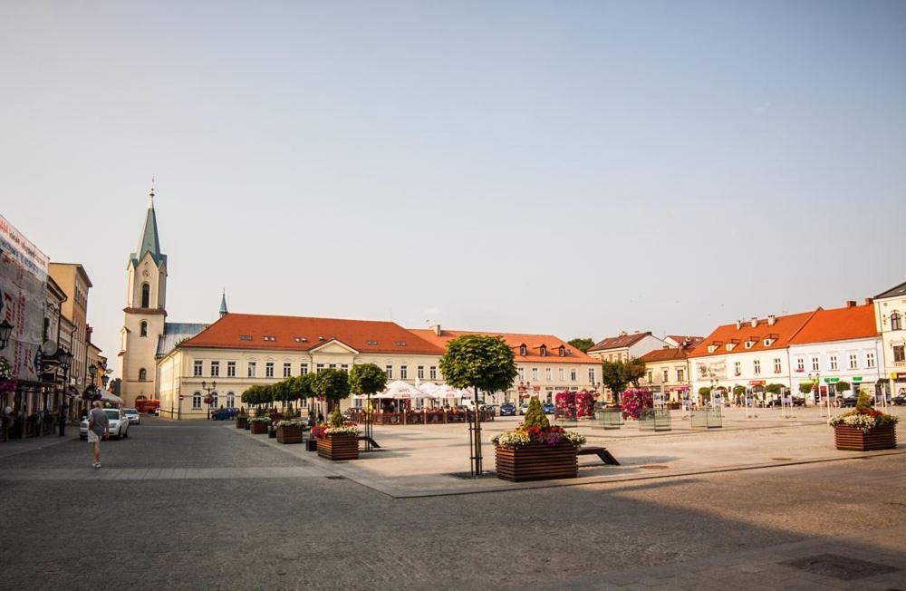 Apartament Bulwary Oświęcim Exterior foto